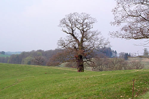 Blick in dei Mäkelborgische Schwiez