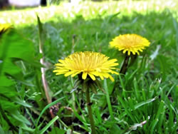 Pixelio &copy; Mario Noack