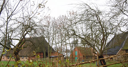 Buernh&uuml;&uuml;s in Tankenhagen