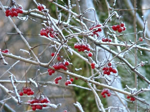 Pixelio © Christiane