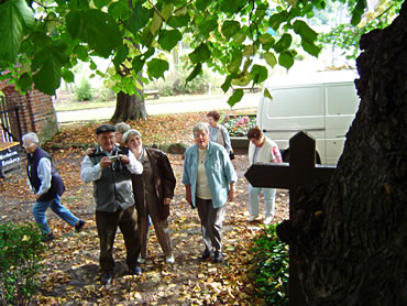 Dei Linn steiht in Loof, dei "Jahresringler" geneten den Schadden
