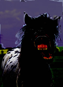 Sünd Peer etwa Fleeschfreter...?