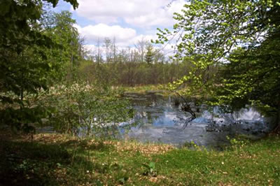 Wulken speigeln sik in den verlanden See as in ein T&ouml;verspeigel