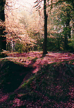 Fotograf: &copy; Gerhard Giebener/pixelio