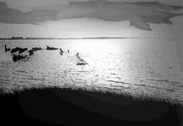De Bodden