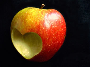 Foto: Pixelio © Helga Schmadel