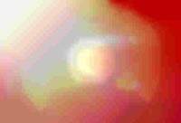 Digitalbild Rudi Witzke