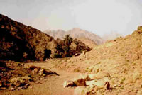 Steenw&ouml;&ouml;st