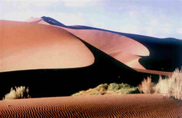 Sandd&uuml;&uuml;n bi Gazah