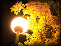 Licht