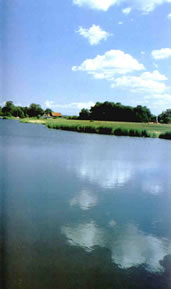 De blage Stroom