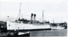 Scheep dunntomals