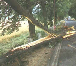 D&uuml;ssen Boom hett de Blix tweislaan