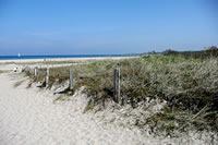An'n Strand