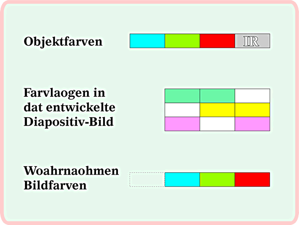 Afbild 4: Wägen dei utfallen Farve Blaw is up dei bäöverste Fimlaoge nu dei Gelägenheit för dat IR-Sensibiliseern. So käönt dei woahrnaomen Farven, einfach seggt, verschaoben wern. Dat giff dann natüürlik Falschkfarvenbiller. Dei hebbt aover uk ehre eigen, sünnerboare Ästhethik. — Se köönt dat Bild dör Klick vergröttern! Trügge kaomt Sei wer mit den "Zurück"-Knoop up dei Symbollieste