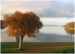 Kastanie an'n See
