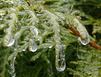 Iesregen. -- Klick op to'n Vergröttern!