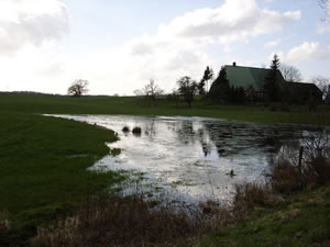 Hoffsteed to Föten vun den Knüll