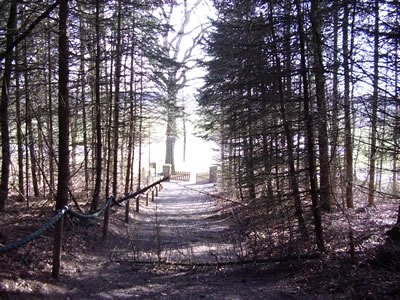 De Weg hendal, in't Licht