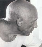 Picasso